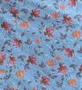 LIGHT BLUE PAKHI COTTON SCHIFFLI SUIT